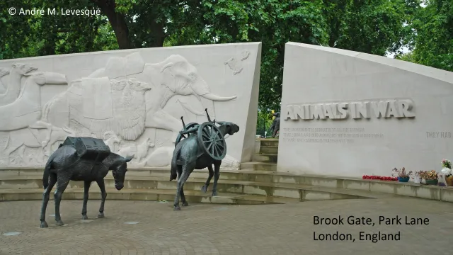 What is considered the most significant memorial dedicated to animals that died in wars and conflicts?