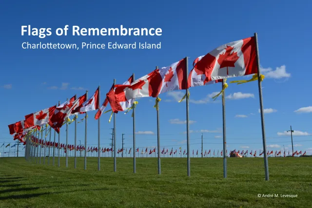 What are 'Flags of Remembrance'?