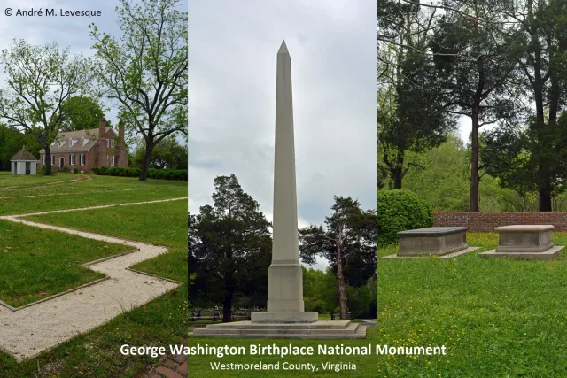 Where was George Washington born?