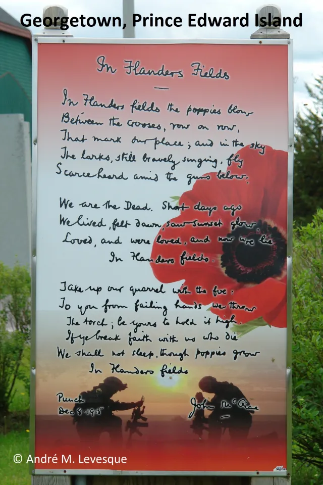 What is "In Flanders Fields"?