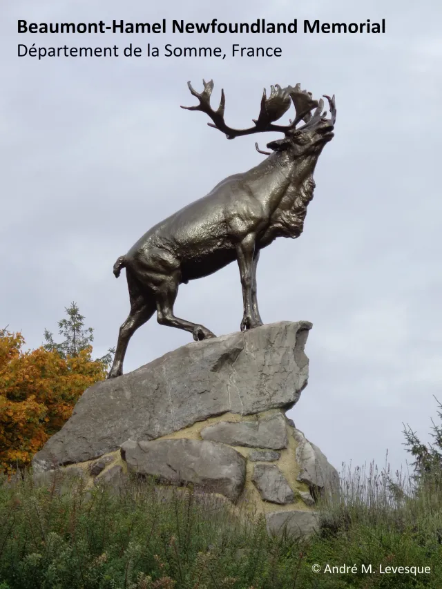 What is the significance of the Battle of the Somme for the Newfoundland Regiment?